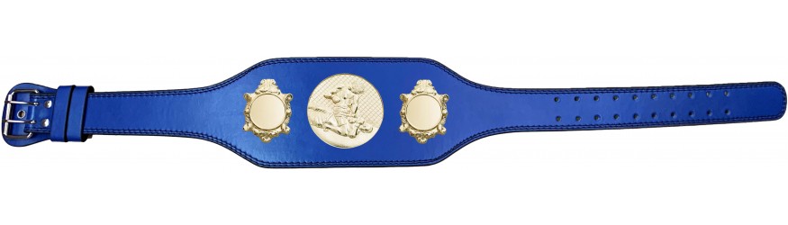 MMA CHAMPIONSHIP BELT-BUD003/G/MMAG-4 COLOURS